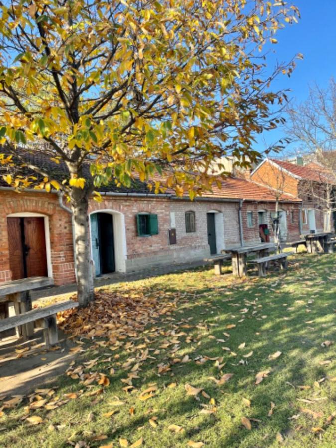 Ubytovani U Dedy Moravská Nová Ves Exteriör bild